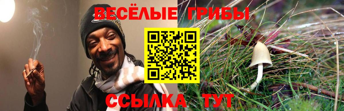 Мыски  где продают наркотики  Вход с VPN  Галлюциногенные грибы прущие грибы 
