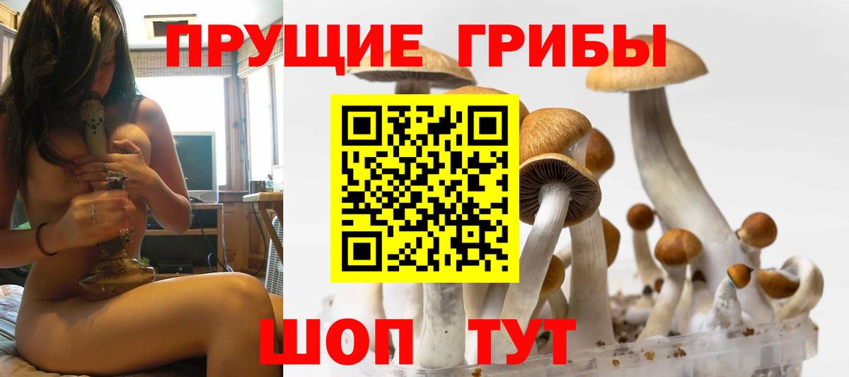 Псилоцибиновые грибы прущие грибы Мыски